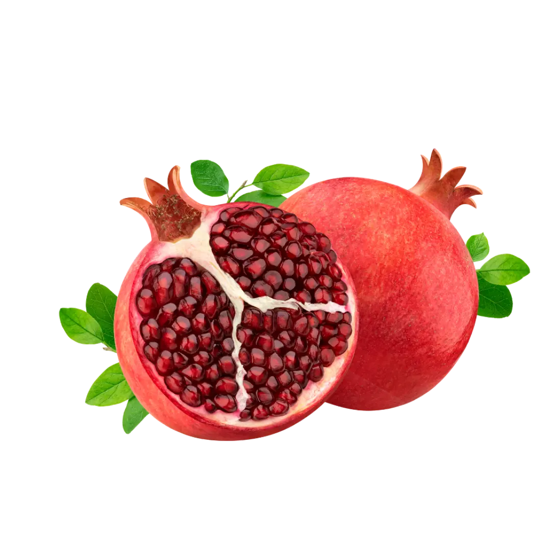 Buah Delima
