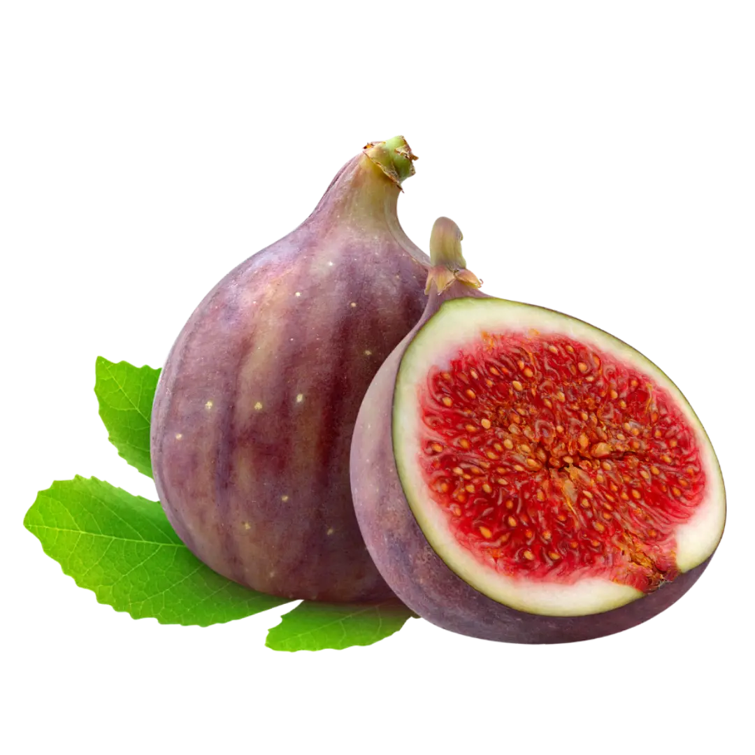 Buah Tin